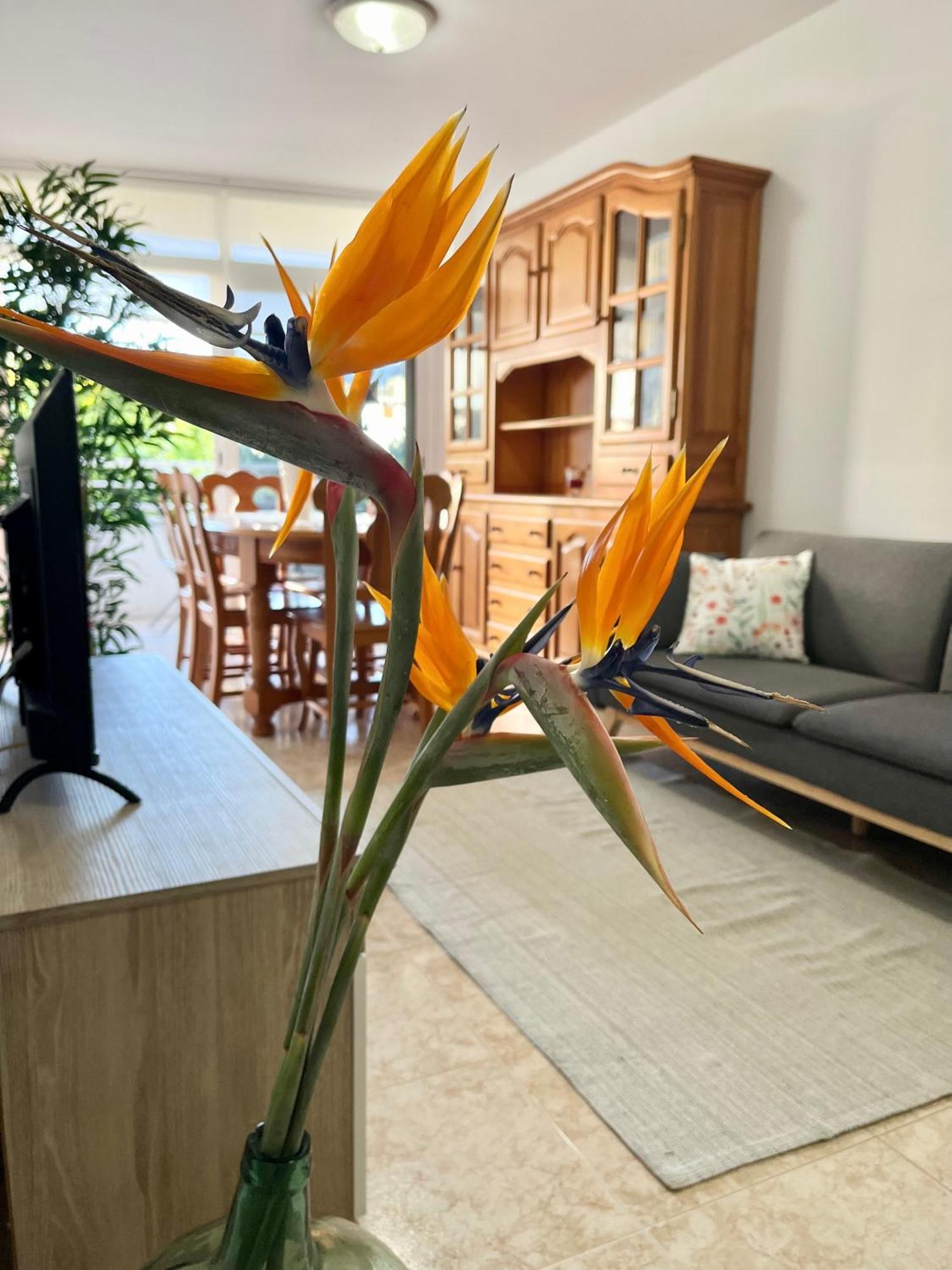 Appartement Piso Centrico Corazon De Aridane à Los Llanos De Aridane Extérieur photo